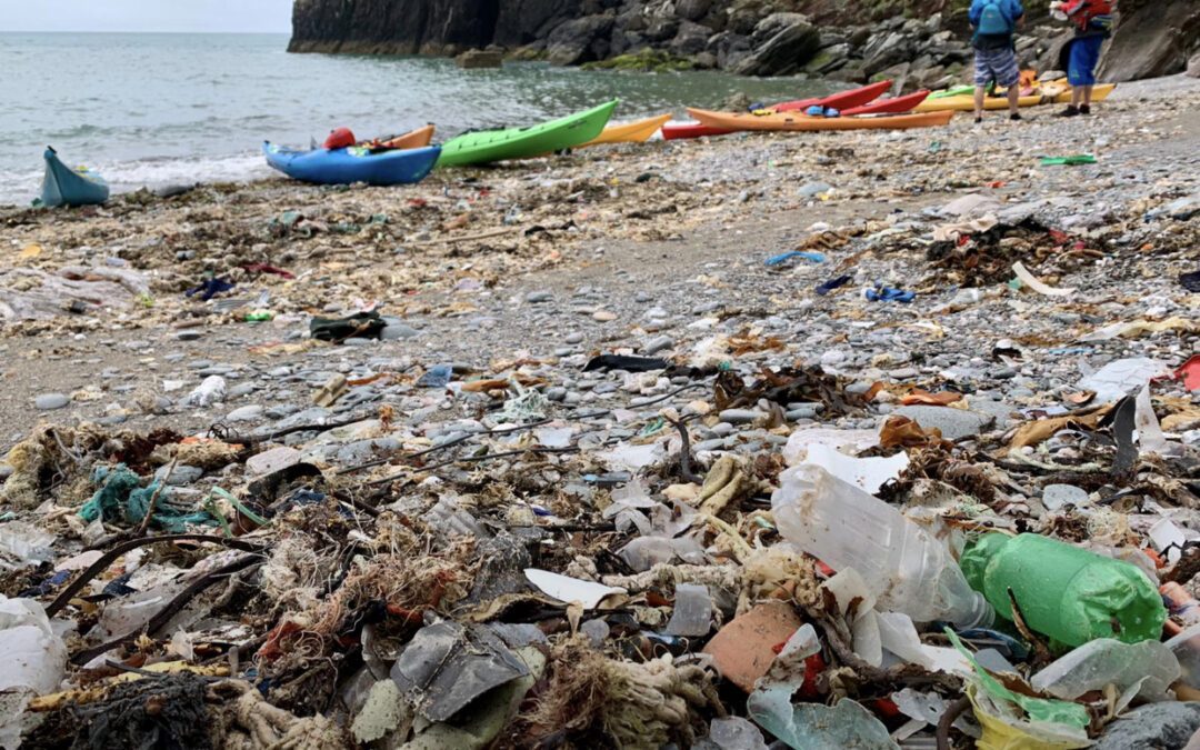 Pudcombe Beach Clean